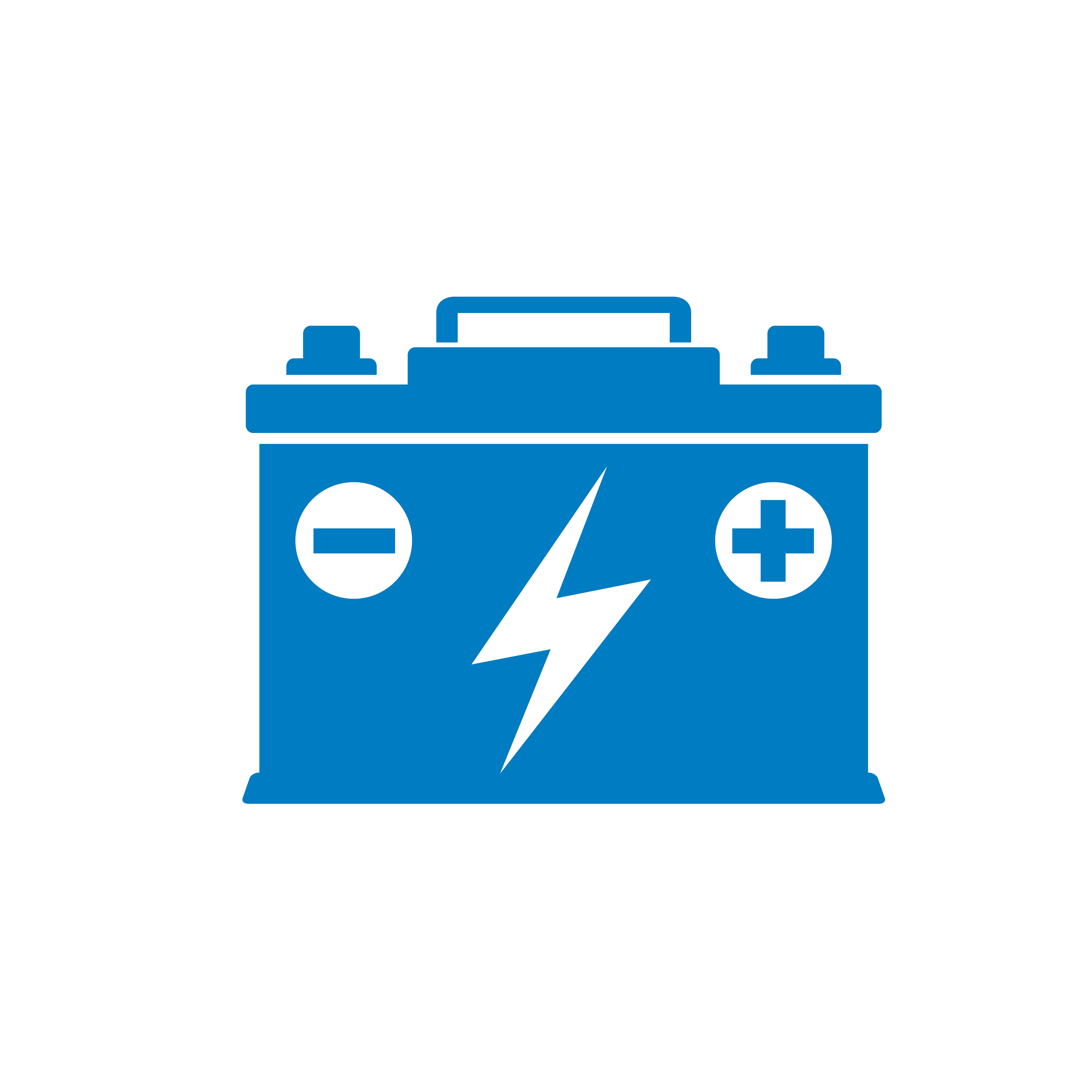 Motorcraft Battery