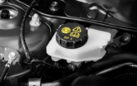 Oil & Filter Change