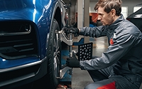 Wheel Alignment Loyalty 