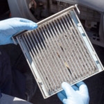 Engine or Air Filter Special 