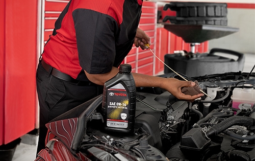 Synthetic Oil & Filter Change