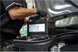 Battery Replacement Special