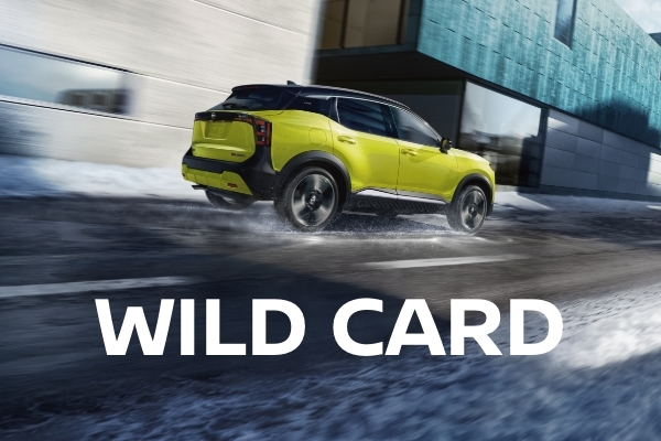 Wild Card