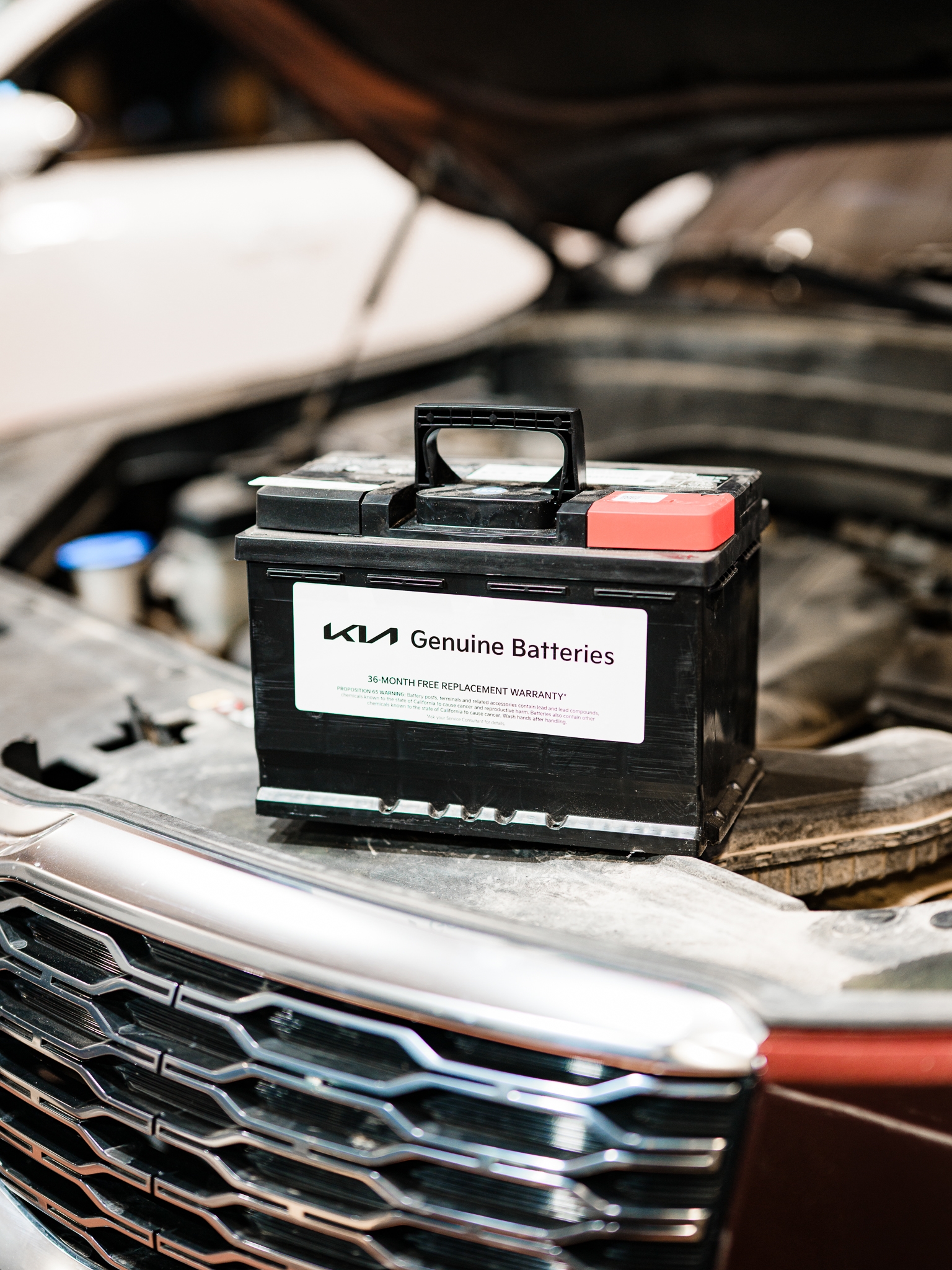 Battery Inspection