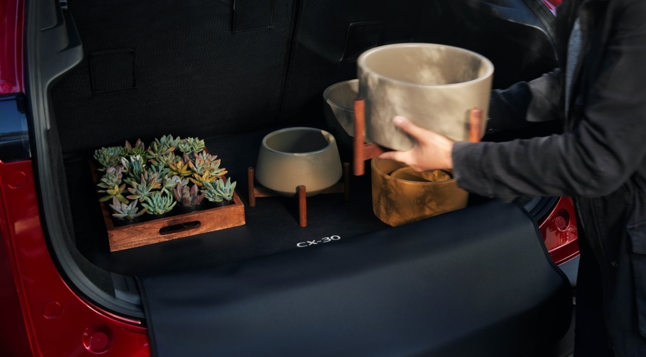 Mazda interior comfort for Washington DC drivers
