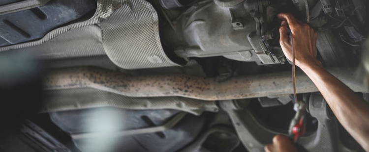 Rear Differential Fluid