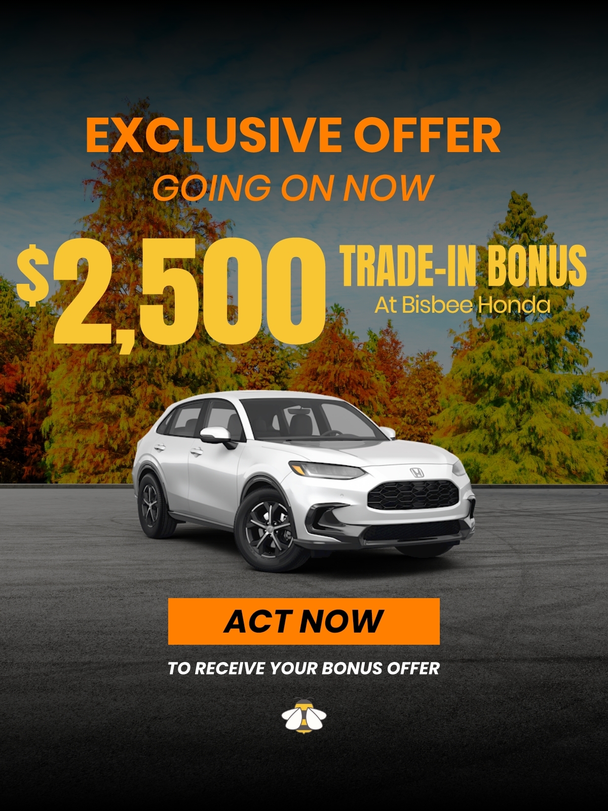 Bonus Offer