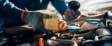 Oil & Filter Change