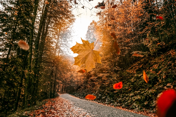 Get Fall Ready!