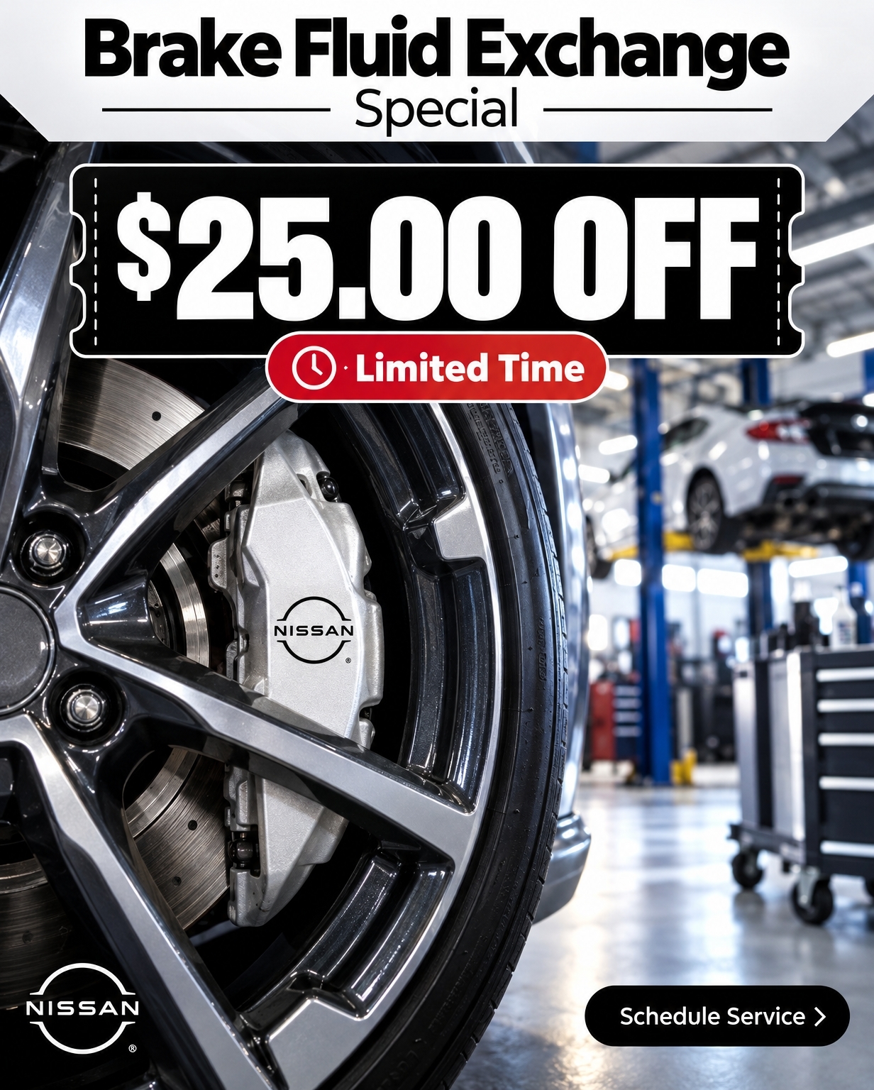 Brake Fluid Exchange Special 