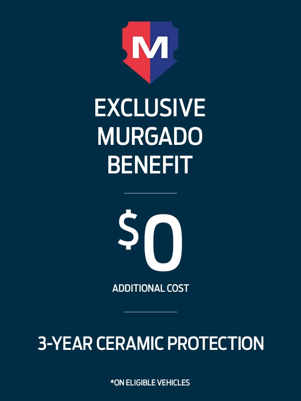 3 Year Ceramic Protection