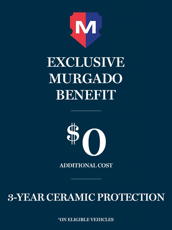 3 Year Ceramic Protection 